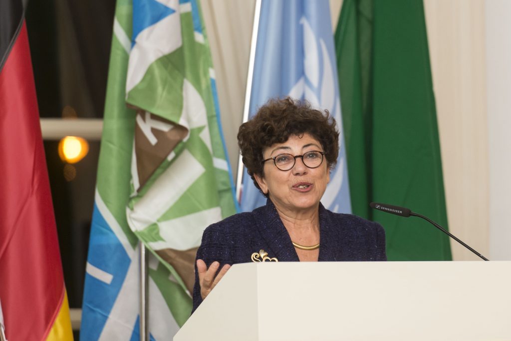 jnfkkl green business circle cop bonn monique barbut on